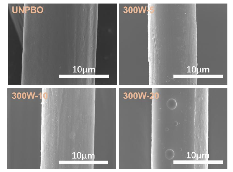 不同氧等離子體處理時間PBO纖維表面SEM 