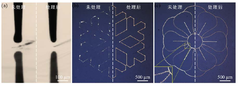 圖1-1 (a)等離子體處理前后PI表面電流體噴印時(shí)噴嘴狀態(tài);(b)處理前后PI表面打印圖案對(duì) 比;(c)處理前后陶瓷表面打印圖案對(duì)比。 