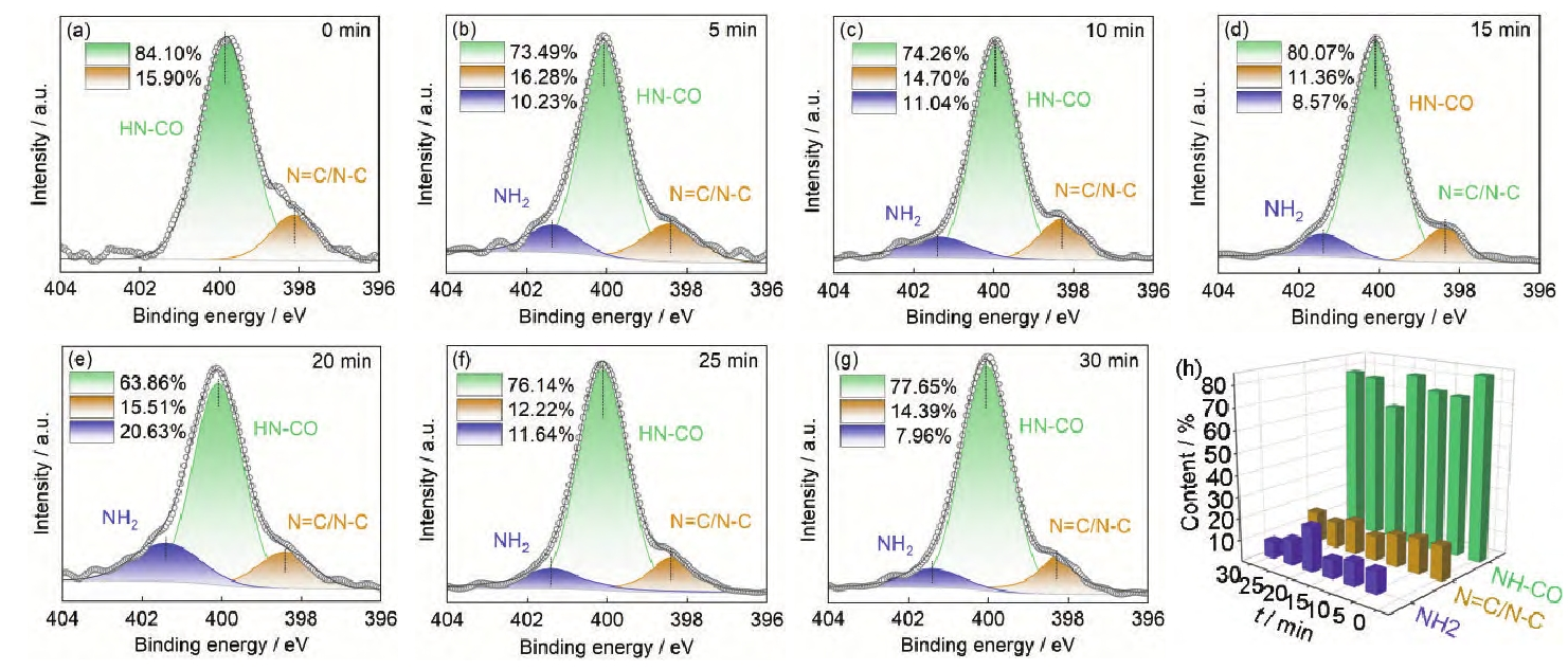 圖3 氬氣等離子體處理后芳Ⅲ表面N1s分峰譜