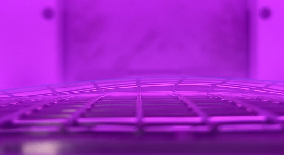 如何選擇真空等離子清洗機(jī)的氣體流量控制器？